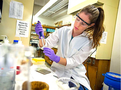 Best Hexane Gas Detector (update for 2025)