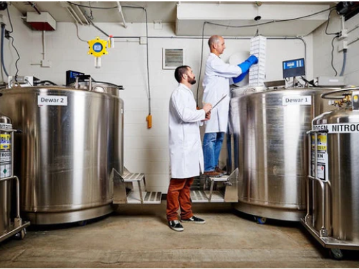 Best Oxygen Deficiency Monitor (updated for 2026)