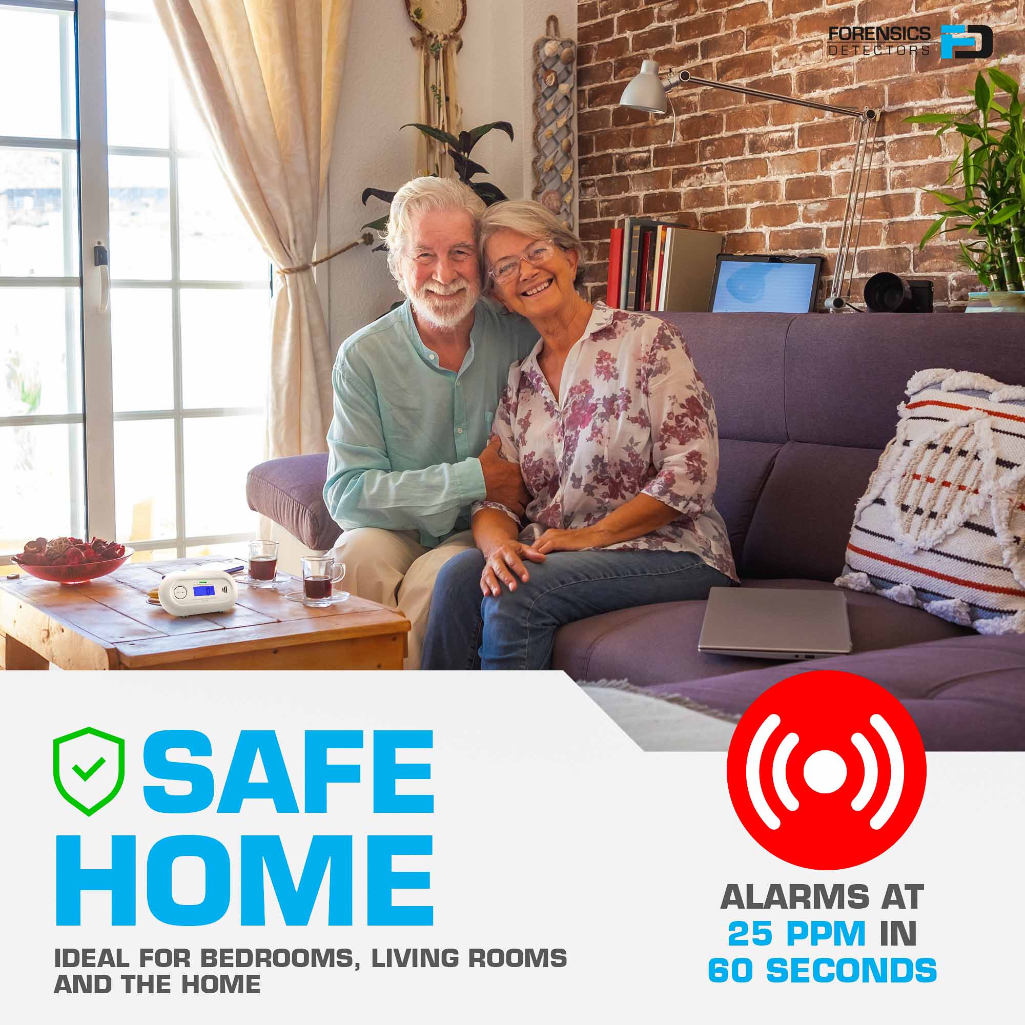 Low Level CO Monitor | WiFi Remote Detection