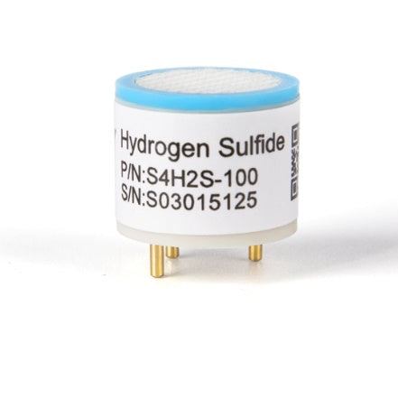 Hydrogen Sulfide Sensor (H2S) | 0 - 100 ppm |