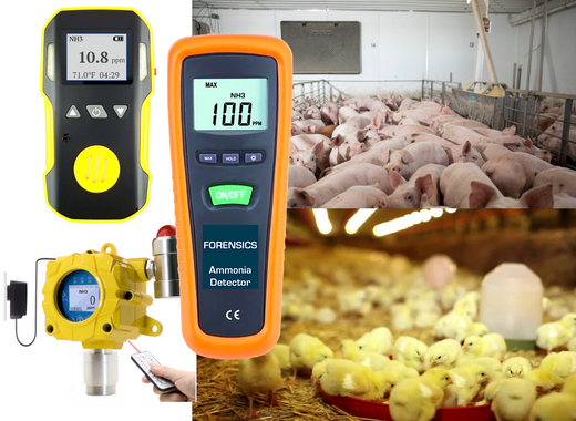 Best Ammonia Detector (2025 update)