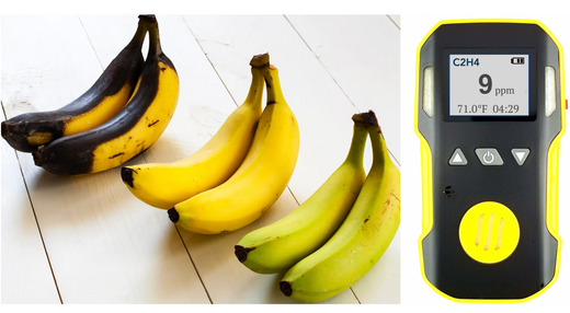 Best Ethylene Detector (Gas for Ripening in 2025)