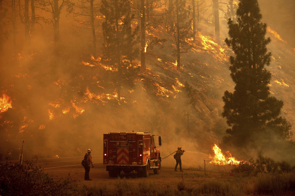 Best CO Alarms (for Wildfires in 2023)