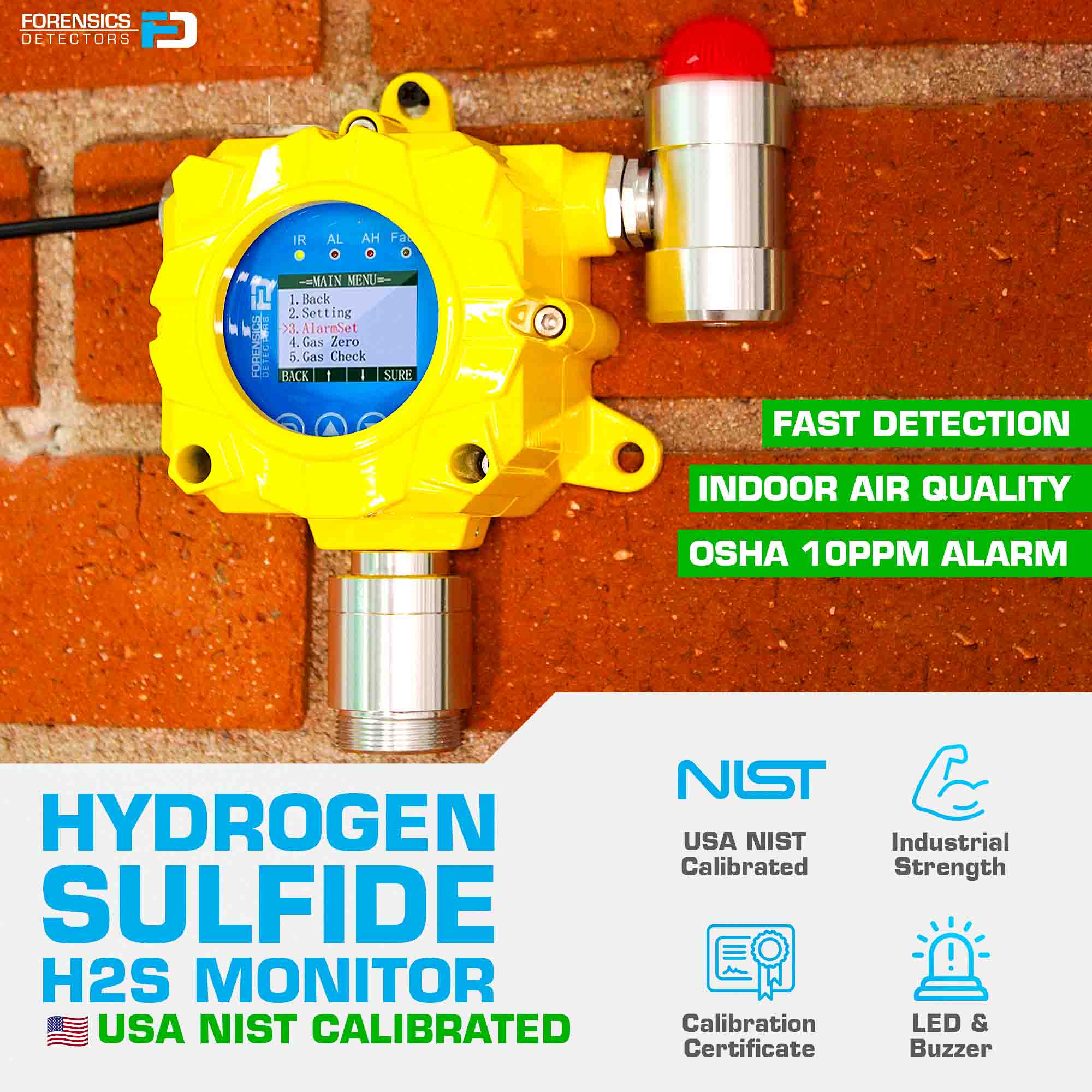 Hydrogen Sulfide Detector | Wall Mount | USA NIST Calibration
